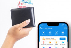 Klaim Saldo DANA Gratis Hari Ini Rp200.000 Tanpa Diundi, Ikuti Caranya Disini