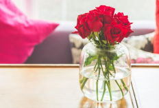 6 Jenis Tanaman Hias Pembawa Rezeki dan Berkah Menurut Islam Ditinjau dari Hadist dan Al Quran