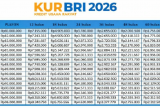 Syarat dan Cara Ajukan KUR BRI 2026 Plafon Rp60 Juta, Pinjaman Tanpa Agunan Cicilan Ringan 1 Jutaan Perbulan