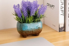 Kurangi Stres Saat Kerja, Ini 5 Rekomendasi Tanaman Hias Untuk Meja Kantor yang Bisa Membawa Keberuntungan