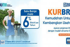 Kabar Baik Buat UMKM! Bunga KUR BRI 2026 6 Persen Flat Tidak Berjenjang, Ini Ketentuan Baru & Syarat Lengkap