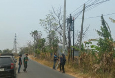 Diskominfo Majalengka Panggil APJATEL Usai Warga Celaka Akibat Kabel Melintang di Jalan