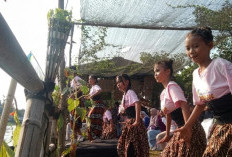 Tari Belentung, Simbol Kegelisahan Jatitujuh di Tengah Derasnya Pembangunan