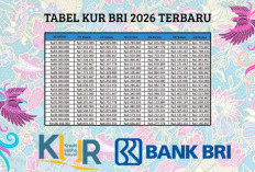 Skema Tabel Pinjaman KUR BRI Plafon Rp40 Juta Lengkap Syarat dan Cara Pengajuannya Terbaru 2026