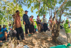 Ratusan Hektare Sawah di Ligung Terancam Puso, Petani Minta Sodetan Air Bendung Rentang Segera Dibangun