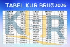 Cek Sekarang! Simulasi Angsuran dan Bunga KUR BRI 2026 Terbaru untuk Modal Usaha Pelaku UMKM