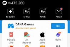 Supaya Bisa Cairin Saldo DANA Sebesar Rp215.000 Setiap Harinya, Simak Cara Main Game Penghasil Uang Berikut