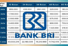 Tabel KUR BRI 2026 Pinjaman 100 Juta: Bisa Cicil Sampai 5 Tahun, Bunga Tetap 6%!