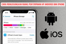Cara Mengosongkan Memori HP yang Penuh Tanpa Hapus Aplikasi: User Android dan iPhone Bisa Coba Cara Ini!