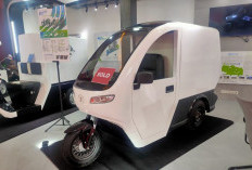 6 Motor Listrik Roda 3 Tertutup dan Terbuka untuk Harian & Usaha, Muatan hingga 600 Kg, Harga Terjangkau