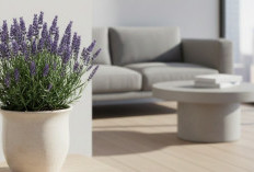 Usir Suasana Pengap Didalam Rumah, Ini Dia 6 Tanaman Hias Indoor Pembersih Udara yang Punya Banyak Khasiat