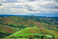 Libur Lebaran Kemana? Ini 5 Destinasi Wisata di Majalengka yang Wajib Dikunjungi, Cocok Buat Liburan Keluarga