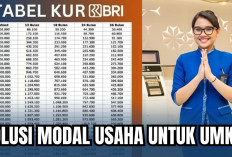 Angsuran KUR BRI Pinjaman 30 Juta Lengkap Dengan Syarat dan Rincian Pinjaman: Solusi Untuk UMKM Naik Kelas!