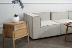 Auto Makin Nyaman & Betah! 5 Tanaman Hias Indoor yang Estetik dan Wangi, Bikin Rumah Lebih Harum Menyegarkan