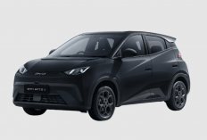 Mobil Listrik Seharga LCGC Tapi Iritnya Bisa Kalahkan Agya dan Brio! Inilah 5 Daftar Mobilnya