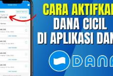 DANA Cicil Belum Muncul? Ini Cara Aman Aktifkan Langsung dari Aplikasi Dana!