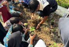 Bukan Sekadar Menanam, Mahasiswa KKN-T Unma Ajarkan Siswa SDN Jatitujuh Cara Budidaya Cabai