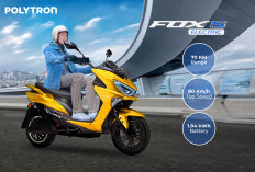 Grab Gojek Merapat! Ini Daftar Motor Listrik Lokal Terbaik Buat Ojol yang Dapat Subsidi, Harga Turun Drastis!