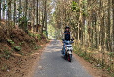 Tak Tertandingi! Yamaha GEAR ULTIMA Sukses Taklukkan Deretan Tanjakan Viral Dengan Easy