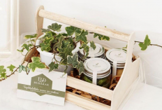 Beda dari yang Lain, 7 Rekomendasi Tanaman Hias untuk Hampers Lebaran, Unik dan Bisa Jadi Ide Jualan!