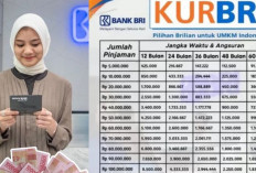 Simulasi Pinjaman KUR BRI Plafon 1 Hingga 100 Juta Lengkap dengan Tenor dan Cicilannya, Cek Tabelnya Disini