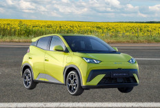 Tenor Sampai 5 Tahun, Simak Harga dan Skema Kredit BYD Atto 2026 Lengkap!