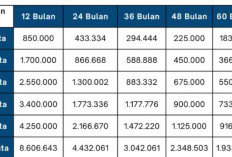 Ini Syarat Lengkap dan Tabel KUR BRI 2026 Pinjaman 100 Juta Angsurannya Mulai 200 Ribuan, Edisi Januari