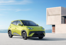 Harga Real BYD Atto 1 Bikin Kaget! Tanpa Subsidi bisa Lebih Mahal dari HR-V