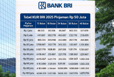 KUR BRI 2025: Pinjaman Rp200 Juta, Cicilan Fleksibel Tenor 1–5 Tahun, Simak Simulasi Lengkapnya