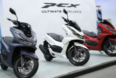 Selain Lebih Awet Bahan Bakar, Ini Perbedaan Motor PCX Hybrid dan PCX Biasa dengan Selish Harga Rp10 Jutaan