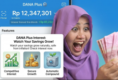 Investasi Saldo DANA Pakai DANA Plus Bisa Bikin Untung 5 Persen, Berikut Cara Aktivasi dan Syaratnya!