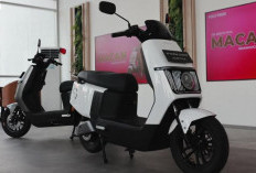 Cuma 10 Jutaan, Berikut Rekomendasi Motor Listrik yang Terima Subsidi, dan Punya Jarak Tempuh Jauh