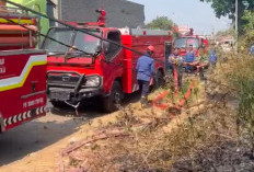 244 Kebakaran Terjadi di Majalengka, Ironisnya Hanya Dua Mobil Damkar Siap Beroperasi