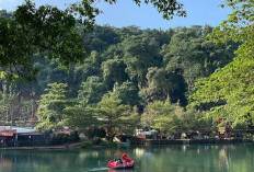 5 Rekomendasi Wisata Liburan Anak di Majalengka dengan Aktivitas Seru dan Menyenangkan, Gak Cuma Berenang!
