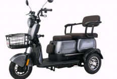 Murah & Multifungsi! Ini Daftar Motor Listrik Roda 3 Viar, Muatan Besar & Harga Mulai Rp10 Jutaan