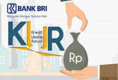 Simulasi KUR BRI 2025 Edisi Akhir Tahun, Dapatkan Pinjaman dengan Cicilan Rendah dengan Tenor 5 Tahun 