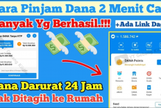 Cara Pinjam Saldo DANA Tanpa KTP, Langsung Cair, Resmi OJK! Ini 9 Langkah Aktivasi DANA Cicil di Aplikasinya