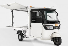 Kredit Motor Listrik Roda Tiga, Cocok Buat UMKM dengan Cicilan Masuk Akal, Berikut 4 Pilihannya
