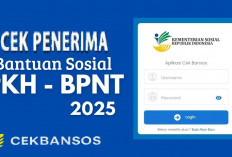 Cek Bansos Kemensos: Panduan Lengkap Cara Cek PKH, BPNT, hingga BLT Kesra Desember 2025 via Situs & Aplikasi