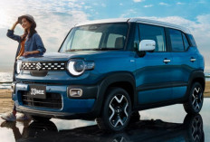 Bukan Jimny, Mini Tapi Gahar Suzuki XBee Justru Lebih Menggoda! Ini Spesifikasinya