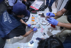 Penggerebekan Kampung Ambon, Bikin Isu Kepala BNN Suyudi Ario Seto - Shandy Aulia Berhembus?