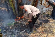 Kebakaran Lahan Kosong di Bongas Wetan Majalengka, Diduga Akibat Pembakaran Sampah