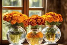 7 Tanaman Hias Hidroponik Estetik yang Cocok untuk Dekorasi Rumah Minimalis, Bikin Suasana Lebih Hidup