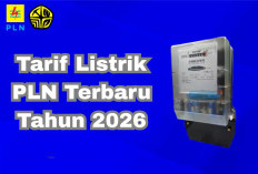 Tarif Listrik PLN Mei 2026 Dipastikan Tidak Naik, Ini Daftar Lengkap Harga per kWh Terbaru!
