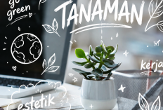 10 Jenis Tanaman Hias untuk di Kantor yang Minim Pencahayaan dan Perawatan, Menambah Estetik Ruangan