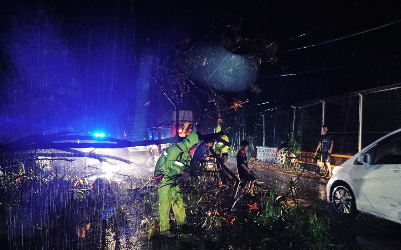 Pohon Tumbang Tutup Jalan Cirebon-Bandung
