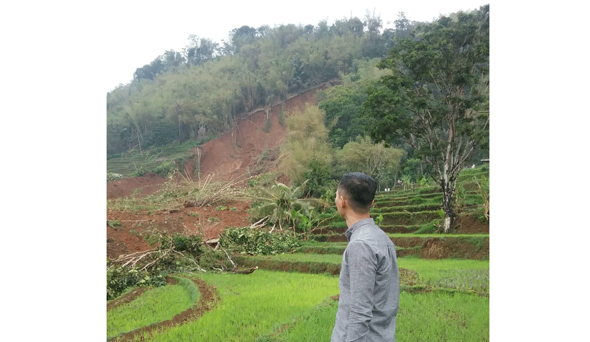 Selatan Longsor, Utara Pohon Tumbang