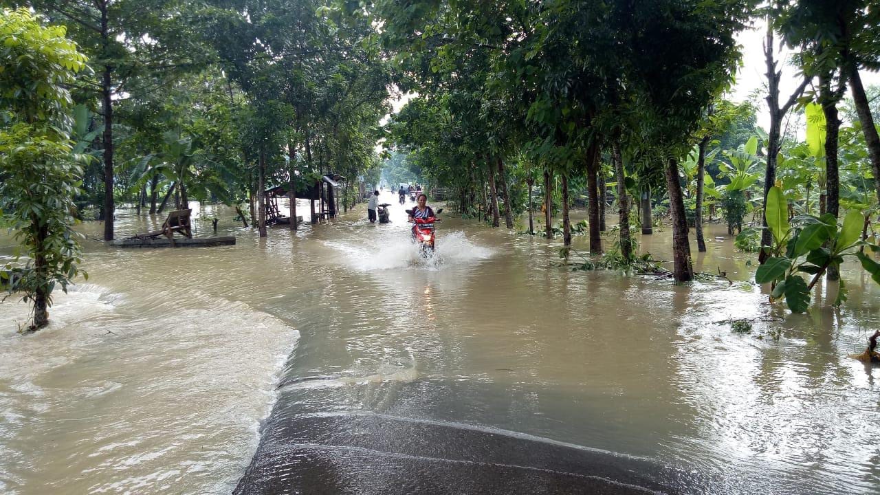 Selain Rumah, 230 Hektare Sawah Terendam