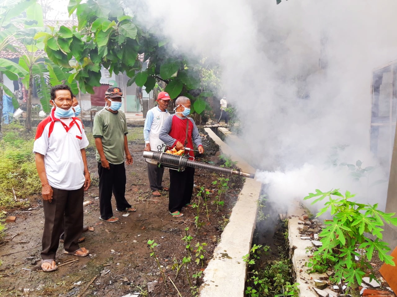 Cegah DBD, Fogging Permukiman Penduduk