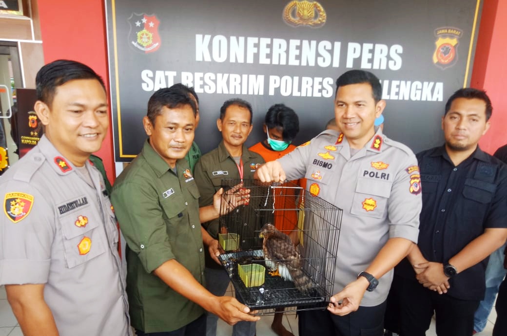 Polres Serahkan Satwa Dilindungi